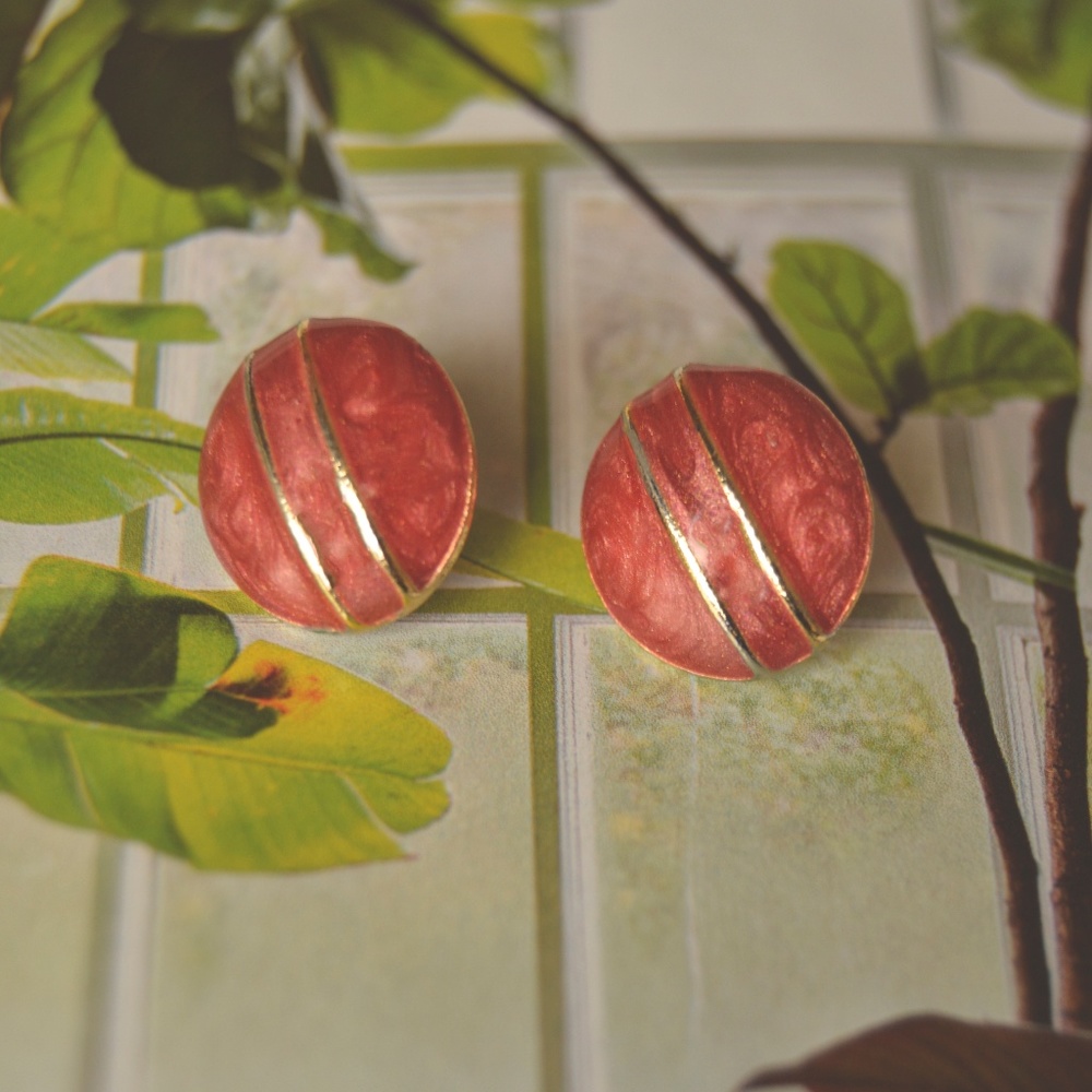 🌱3 for $10🌱Vintage Shimmery Rust Studs